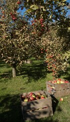 Screenshot 2025-05-08 134517.jpg