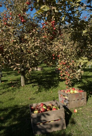 Screenshot 2025-05-08 134517.jpg