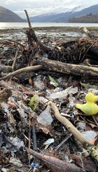 The Arrochar Litter Sink